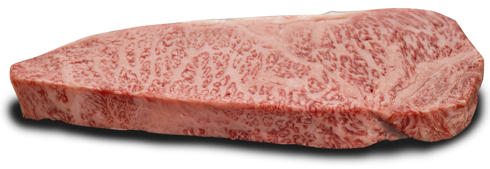 bait wagyu
